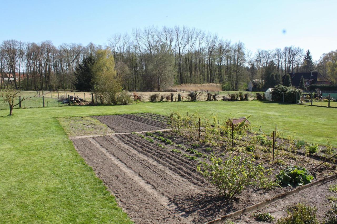 Ferienwohnung Gartenblick - A19374 Suderburg Exterior foto